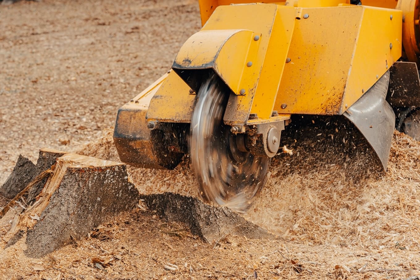 Stump Grinding